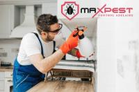 MAX Bee Removal Adelaide image 8